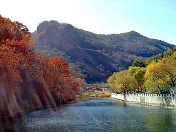 新澳门期期准精准，野花香社区